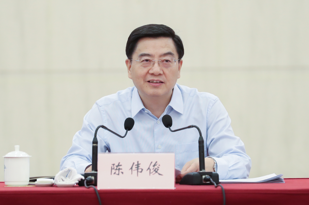 陈伟俊指出