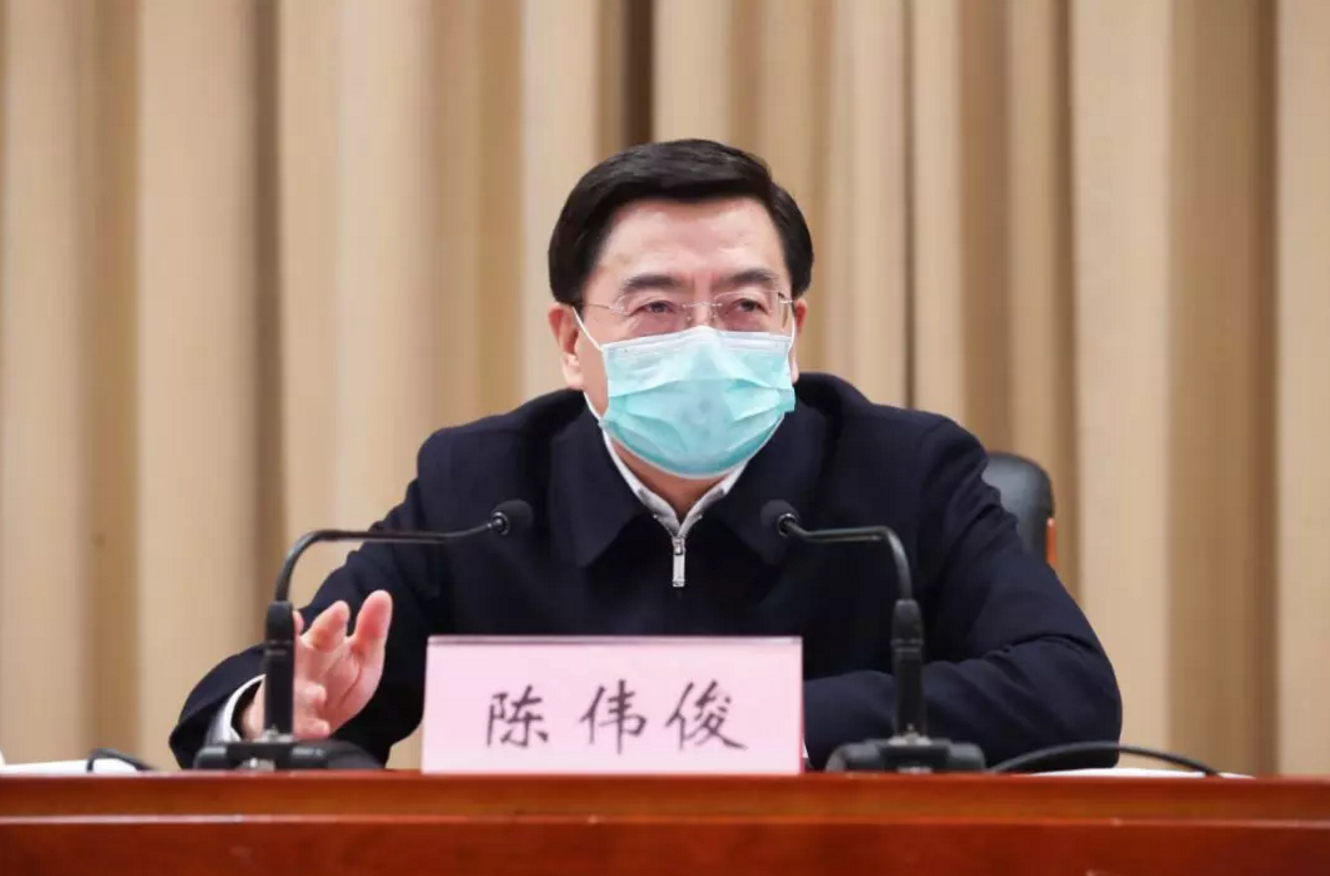 陈伟俊指出