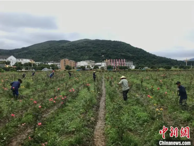 春水人口_繁星春水图片