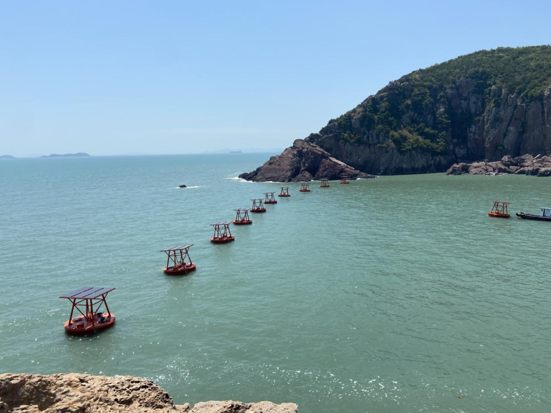 浙江海岛养的“智慧鱼”正游出亿元产业