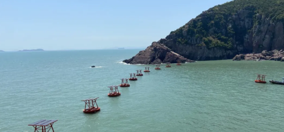 浙江海岛养的“智慧鱼”正游出亿元产业
