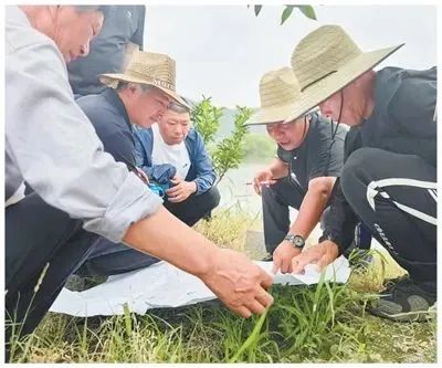 厉害了！乐清这个村，登上《人民日报》
