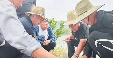 厉害了！乐清这个村，登上《人民日报》