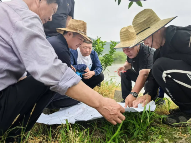 之江潮涌 奋楫争先——看浙江省党员干部真抓实干推动高质量发展