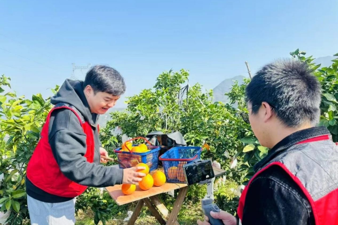 �������ˡ������������ƽ����