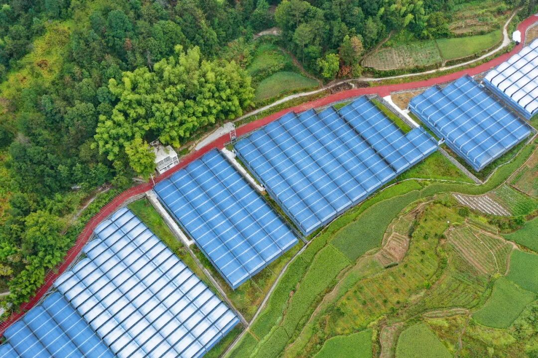 ��Լ��1768���������ഴ���¾� ���ϳ�ӿ������