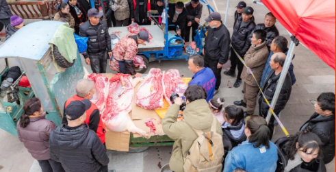 ƽ����һĨ����غ족�������´��̻���