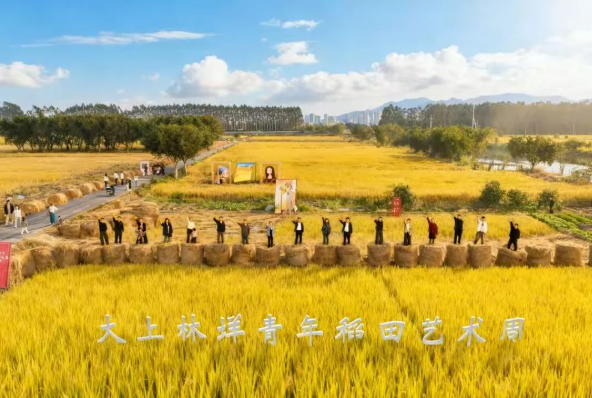 ƽ���ص�������Ƭ�����ż������۱�ЧӦ��